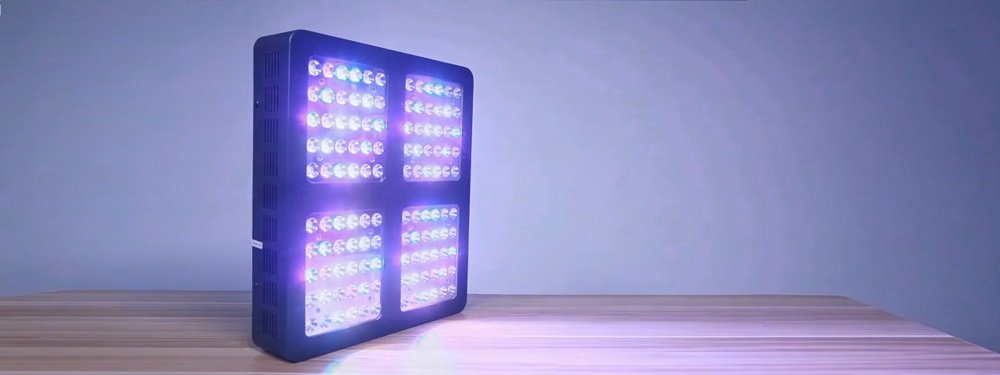 Can any LED light be used as a grow light?