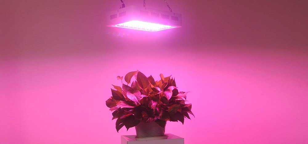 Horticultural LED Grow Lights Guide